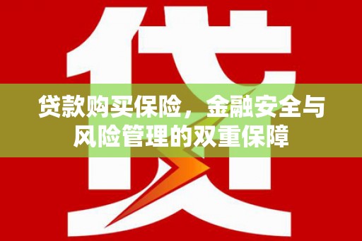 曾都贷款购买保险，金融安全与风险管理的双重保障