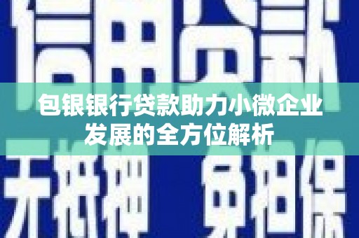 曾都包银银行贷款助力小微企业发展的全方位解析