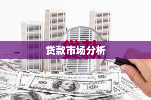 曾都贷款市场分析