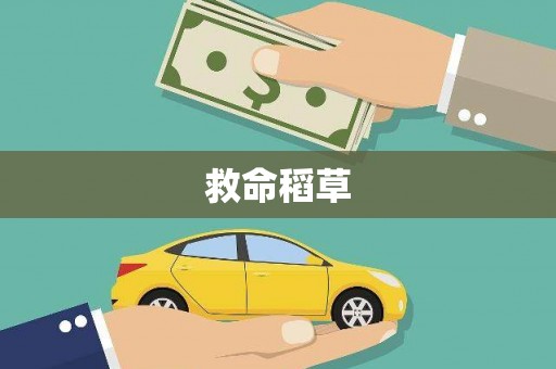 曾都救命稻草