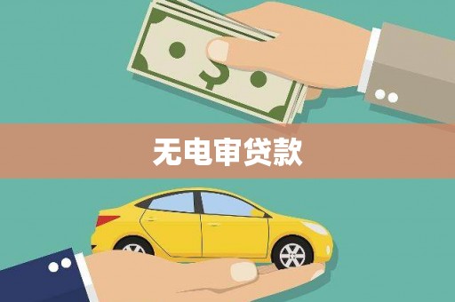曾都无电审贷款