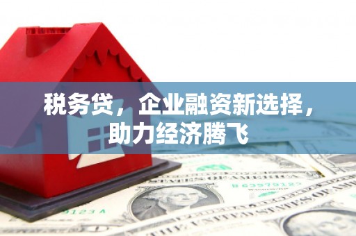 曾都税务贷，企业融资新选择，助力经济腾飞