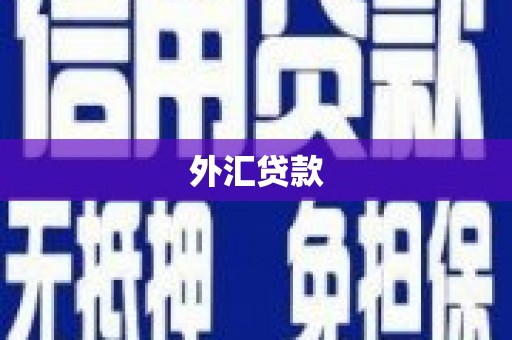 曾都外汇贷款