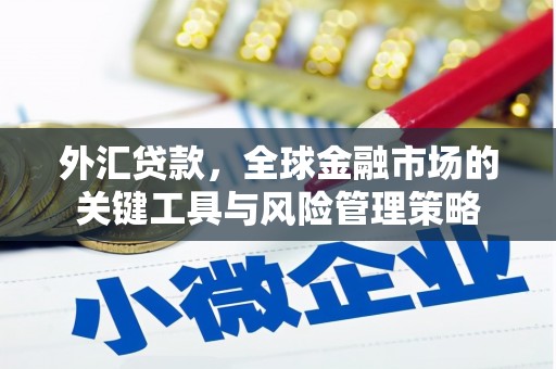 曾都外汇贷款，全球金融市场的关键工具与风险管理策略
