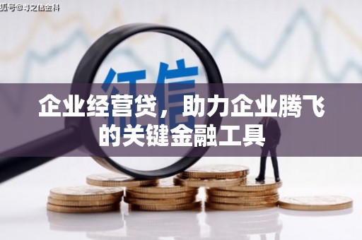 曾都企业经营贷，助力企业腾飞的关键金融工具