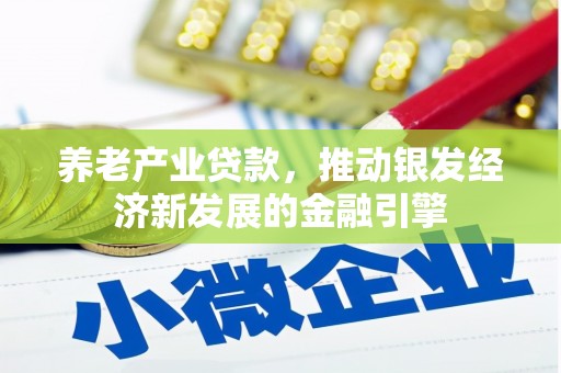 曾都养老产业贷款，推动银发经济新发展的金融引擎