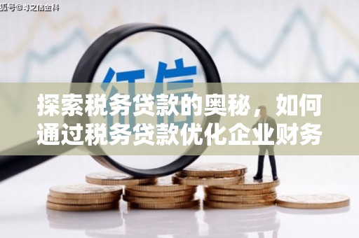 曾都探索税务贷款的奥秘，如何通过税务贷款优化企业财务