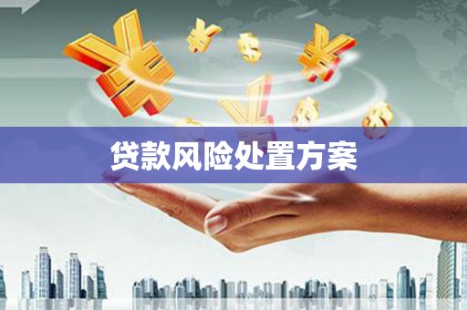 曾都贷款风险处置方案