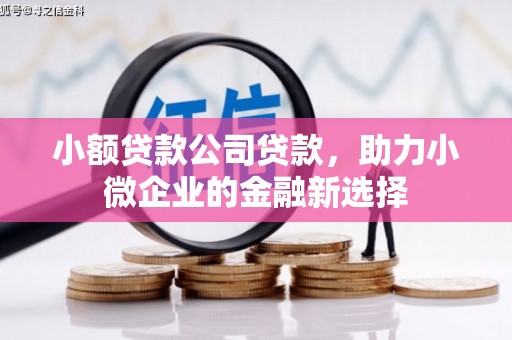 曾都小额贷款公司贷款，助力小微企业的金融新选择