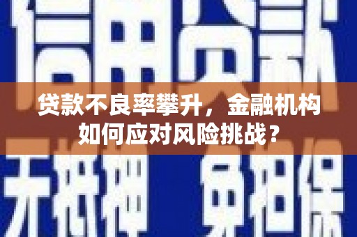 曾都贷款不良率攀升，金融机构如何应对风险挑战？