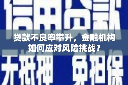 曾都贷款不良率攀升，金融机构如何应对风险挑战？