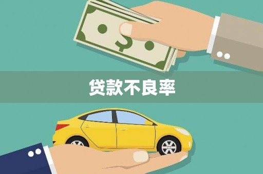 曾都贷款不良率