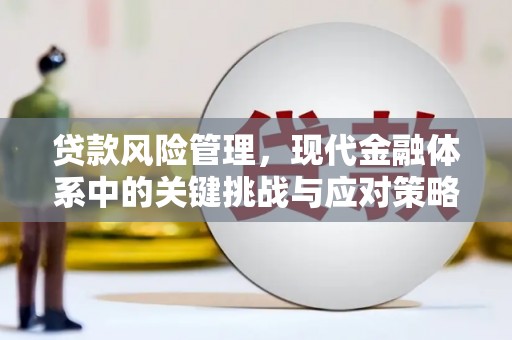 曾都贷款风险管理，现代金融体系中的关键挑战与应对策略