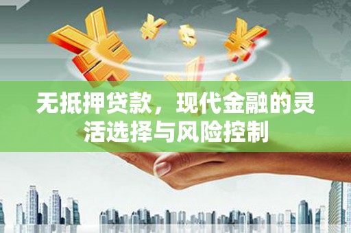 曾都无抵押贷款，现代金融的灵活选择与风险控制