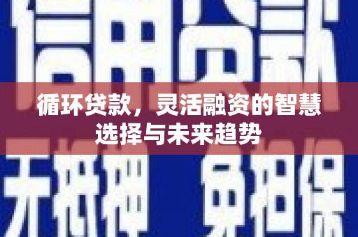 曾都循环贷款，灵活融资的智慧选择与未来趋势