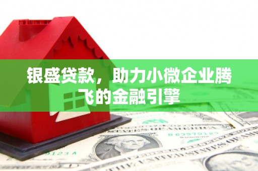 曾都银盛贷款，助力小微企业腾飞的金融引擎