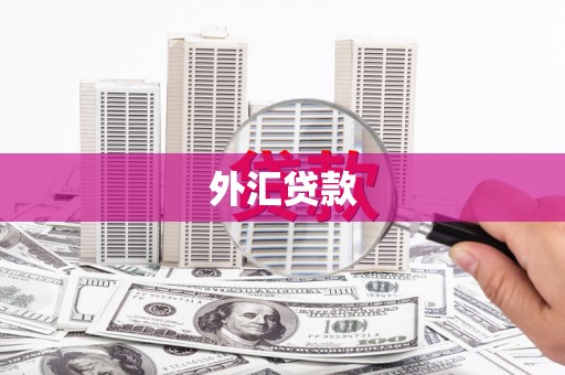 曾都外汇贷款