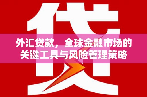 曾都外汇贷款，全球金融市场的关键工具与风险管理策略