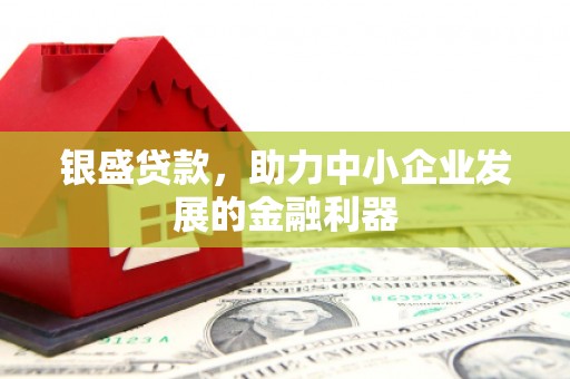 曾都银盛贷款，助力中小企业发展的金融利器