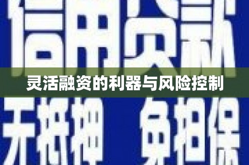 曾都灵活融资的利器与风险控制