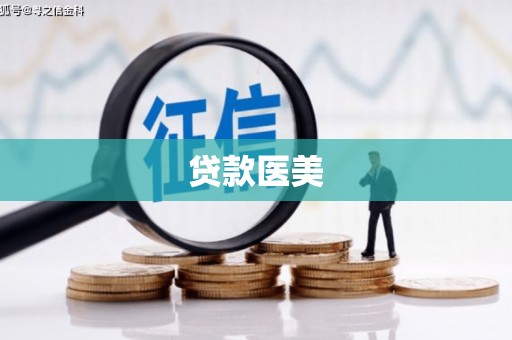曾都贷款医美