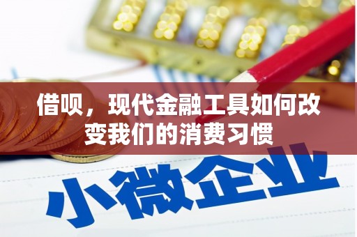 曾都借呗，现代金融工具如何改变我们的消费习惯