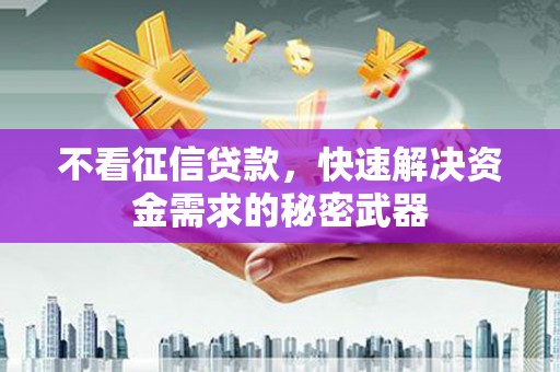 曾都不看征信贷款，快速解决资金需求的秘密武器