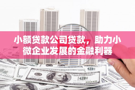 曾都小额贷款公司贷款，助力小微企业发展的金融利器