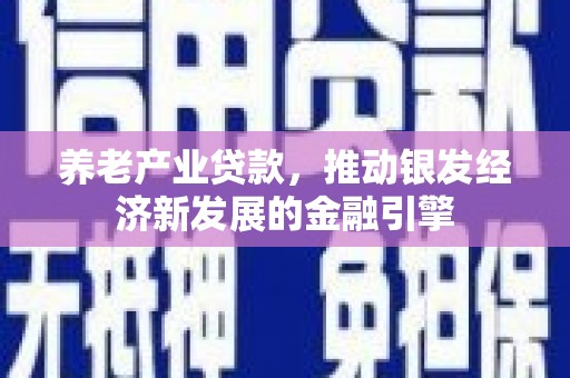 曾都养老产业贷款，推动银发经济新发展的金融引擎