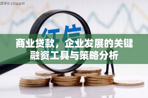 曾都商业贷款，企业发展的关键融资工具与策略分析