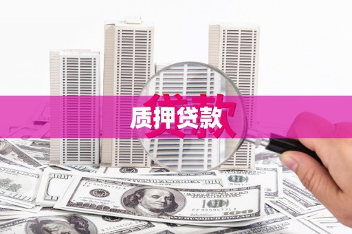 曾都质押贷款
