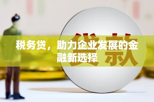 曾都税务贷，助力企业发展的金融新选择