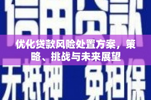 曾都优化贷款风险处置方案，策略、挑战与未来展望