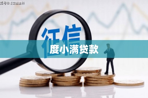 曾都度小满贷款