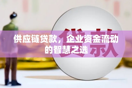 曾都供应链贷款，企业资金流动的智慧之选