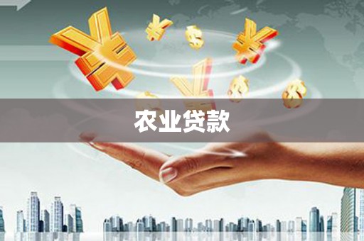 曾都农业贷款