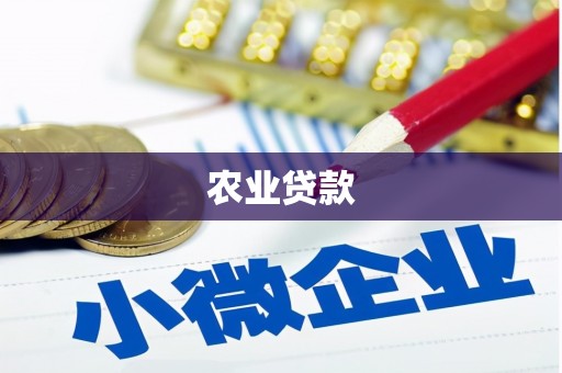 曾都农业贷款