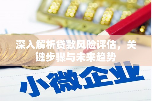 曾都深入解析贷款风险评估，关键步骤与未来趋势
