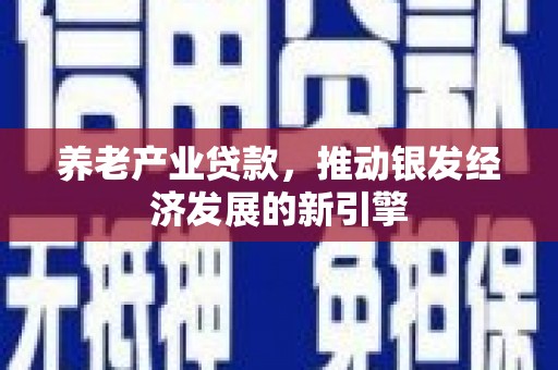 曾都养老产业贷款，推动银发经济发展的新引擎