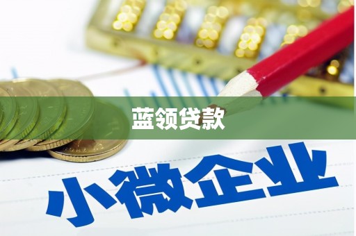 曾都蓝领贷款