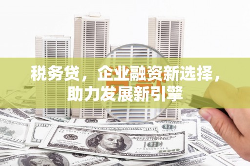 曾都税务贷，企业融资新选择，助力发展新引擎