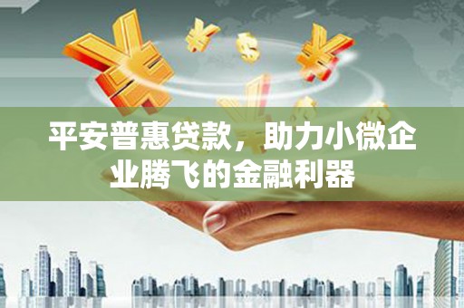 曾都平安普惠贷款，助力小微企业腾飞的金融利器