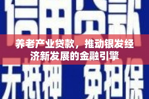 曾都养老产业贷款，推动银发经济新发展的金融引擎