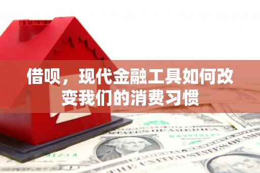 曾都借呗，现代金融工具如何改变我们的消费习惯