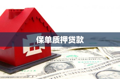 曾都保单质押贷款