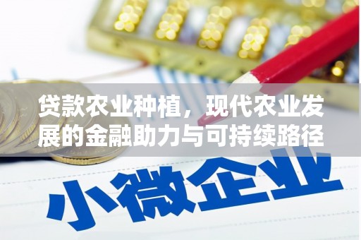 曾都贷款农业种植，现代农业发展的金融助力与可持续路径