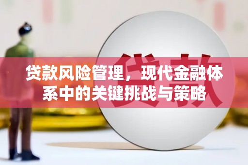 曾都贷款风险管理，现代金融体系中的关键挑战与策略