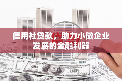 曾都信用社贷款，助力小微企业发展的金融利器