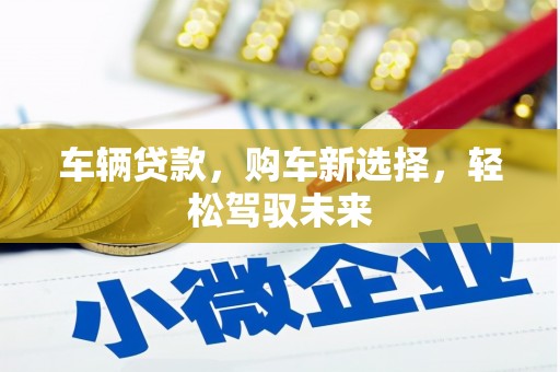 曾都车辆贷款，购车新选择，轻松驾驭未来