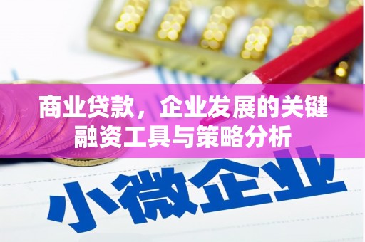 曾都商业贷款，企业发展的关键融资工具与策略分析